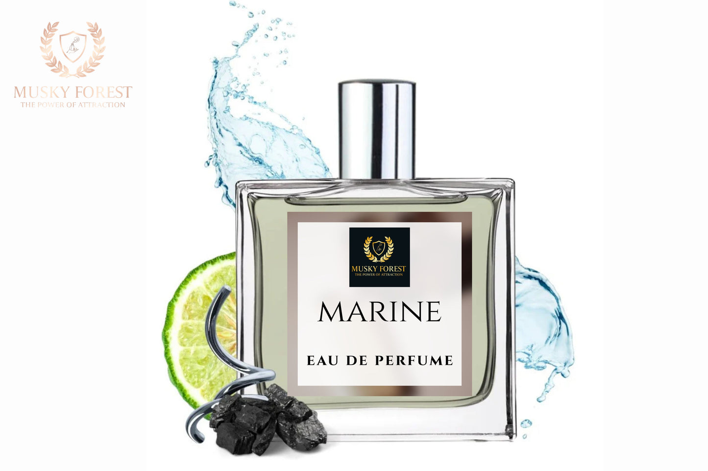 Marine Perfume for Men | Spicy Aromatic Citrus Musky Woody Fragrance | 50ml Unisex Eau de Parfum Spray | Luxury Gift for Him