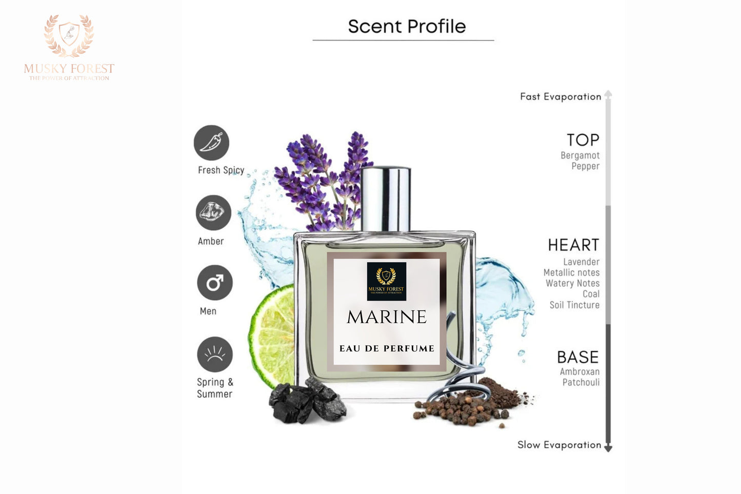 Marine Perfume for Men | Spicy Aromatic Citrus Musky Woody Fragrance | 50ml Unisex Eau de Parfum Spray | Luxury Gift for Him