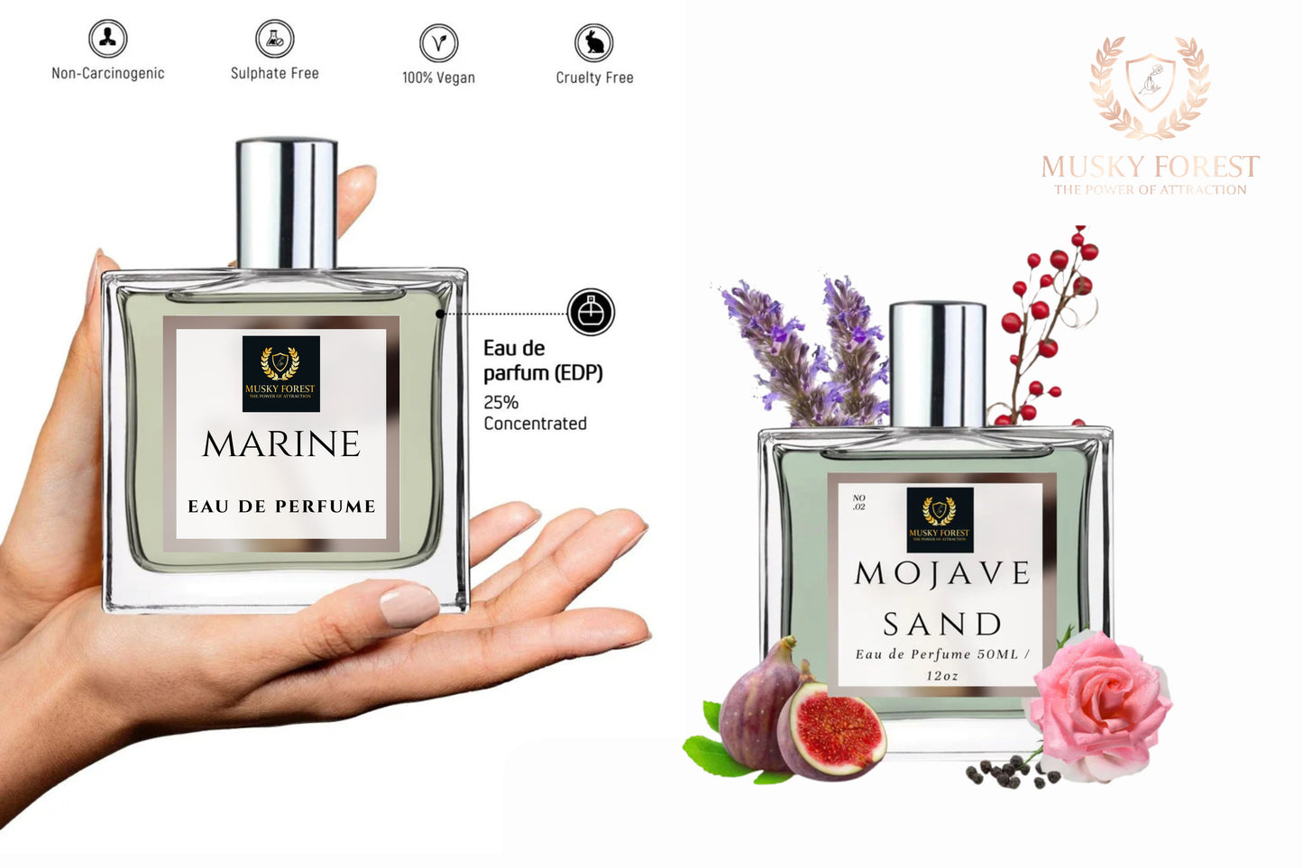 Marine Perfume for Men | Spicy Aromatic Citrus Musky Woody Fragrance | 50ml Unisex Eau de Parfum Spray | Luxury Gift for Him